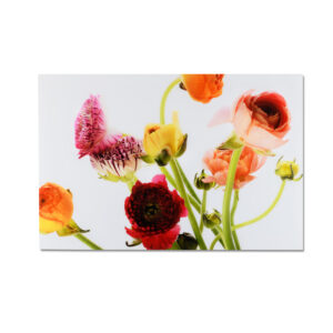 Multi Color Flowers Wall Art