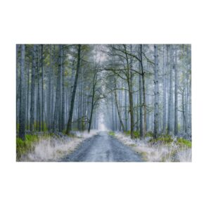 Going Places Wall Art