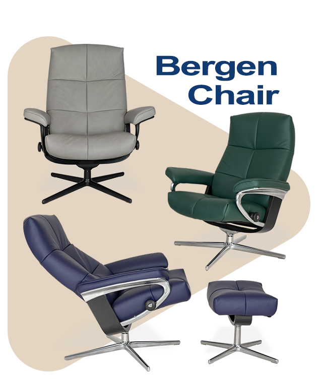 Bergen Chair special purchase while supplies last